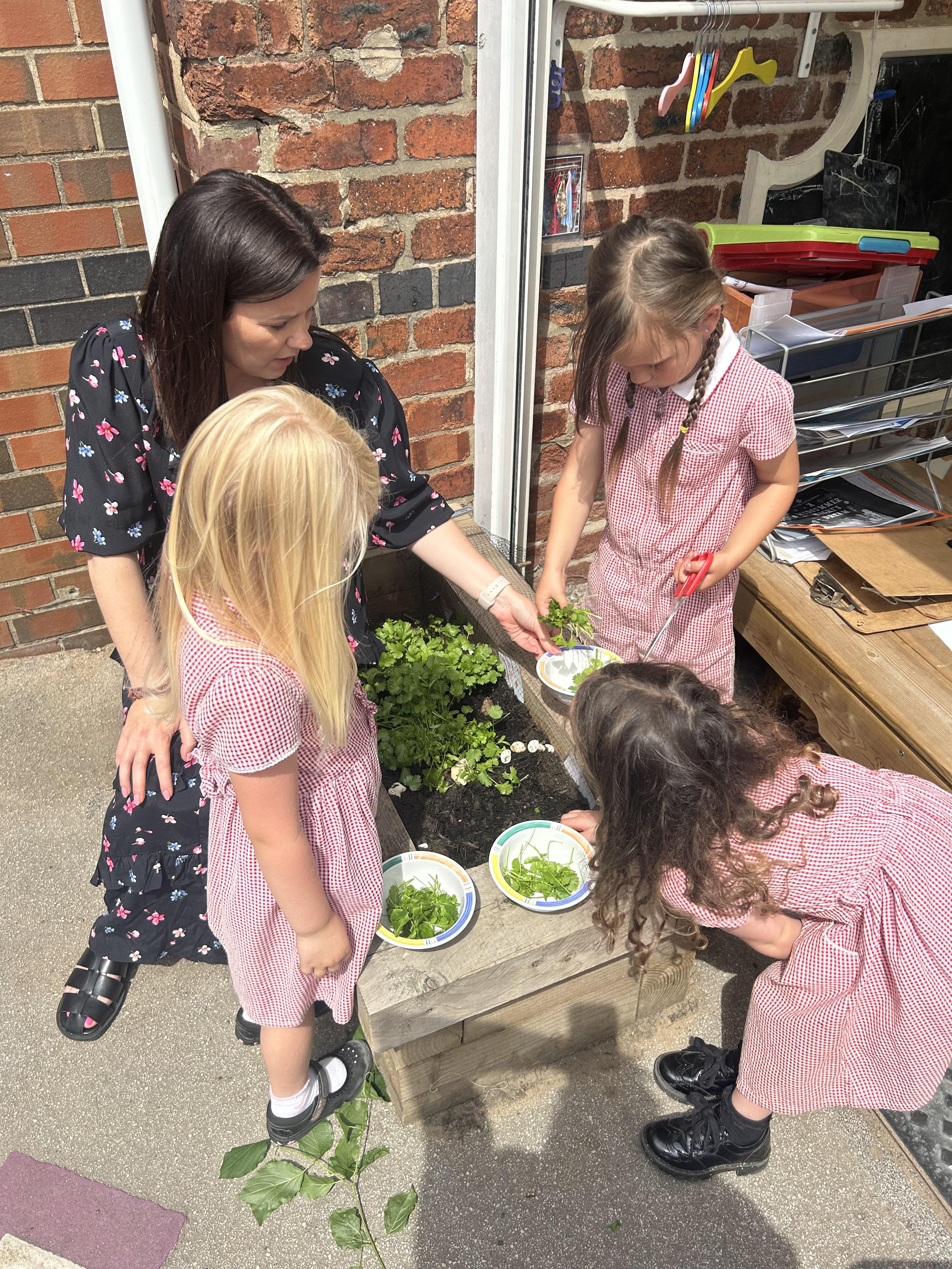Getting hands on with plants in Class 1