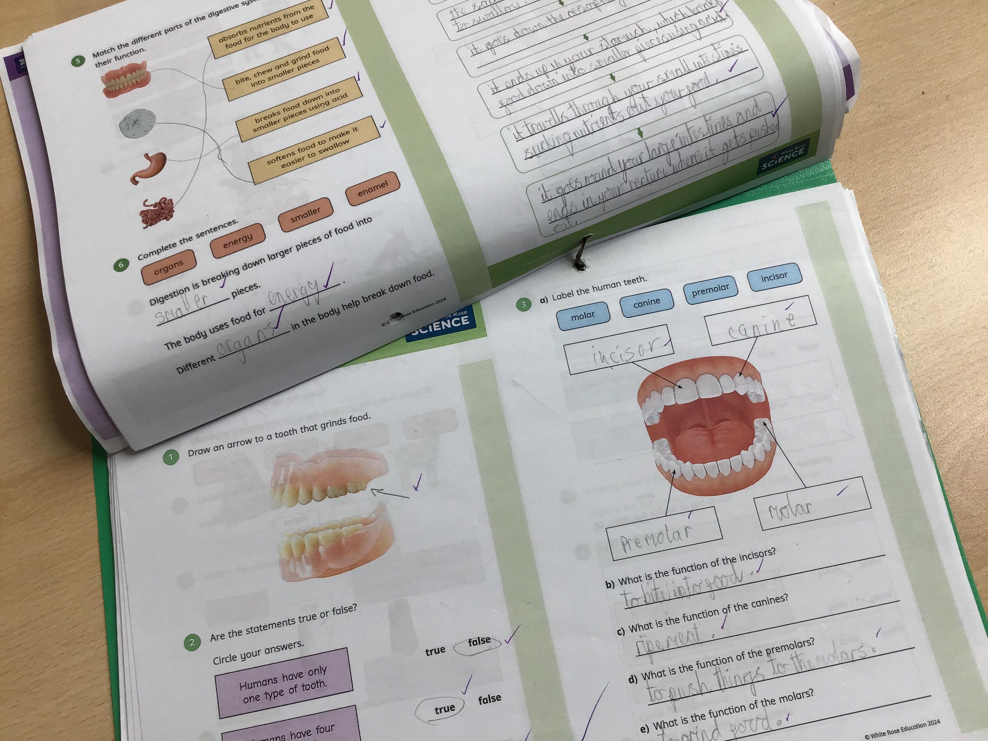 An example of a Class 3 Science folder