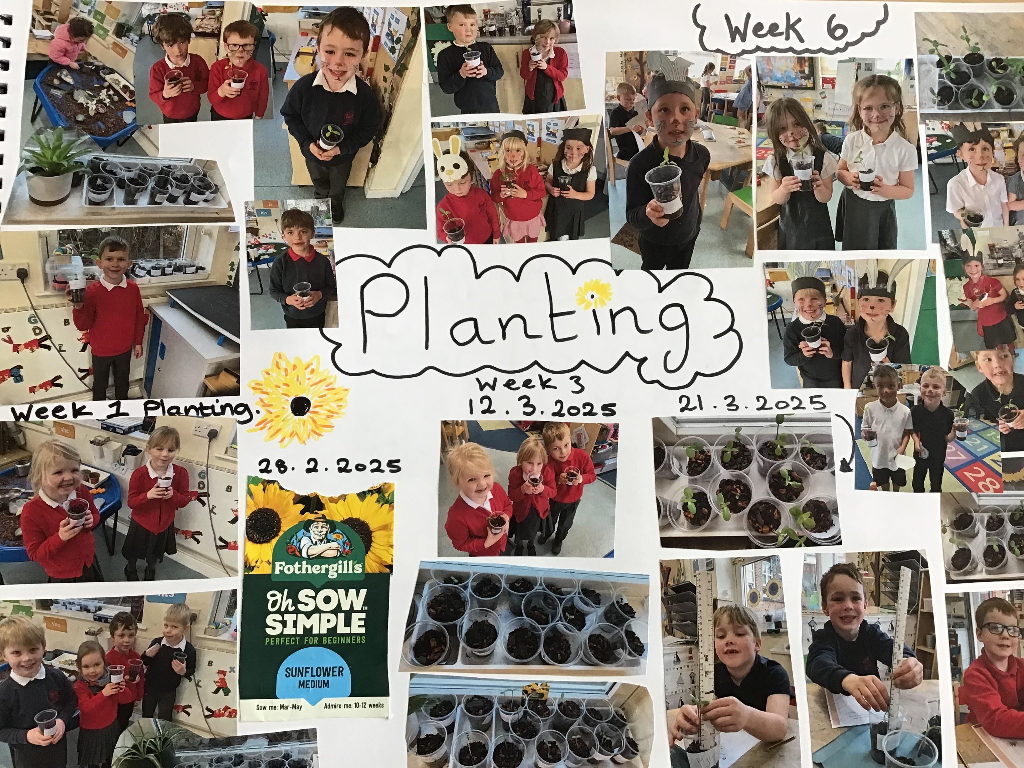 All about Planting in Class 1...